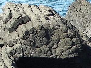s-20111020 yamaguchi  (14).jpg